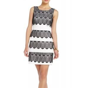 BCBGMaxAzria Black Lace and White Mini Dress